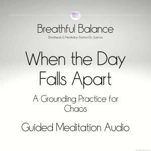 When the Day Falls Apart — A Grounding Practice for Chaos