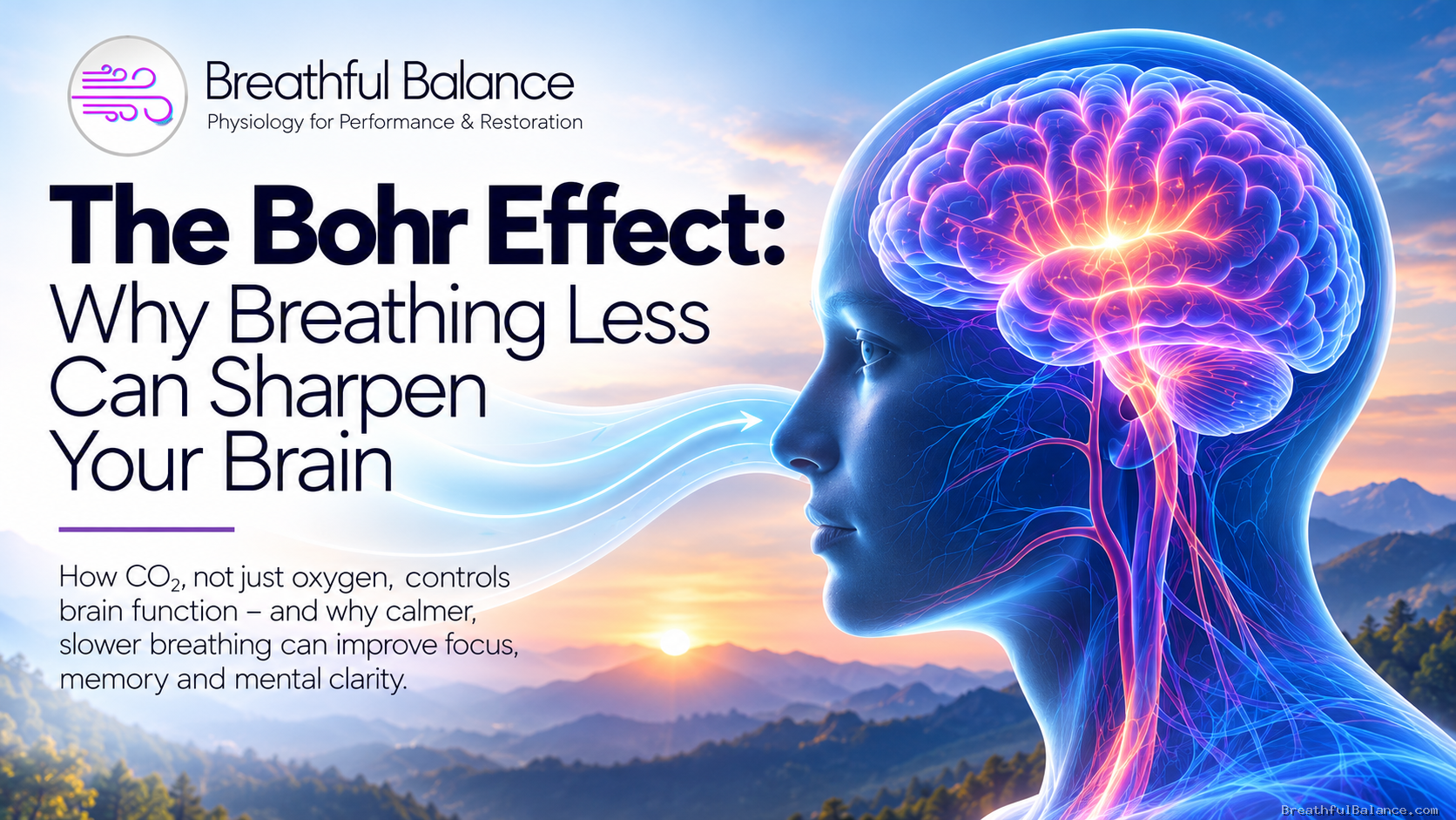 The Bohr Effect: Why Breathing Less Can Sharpen Your Brain